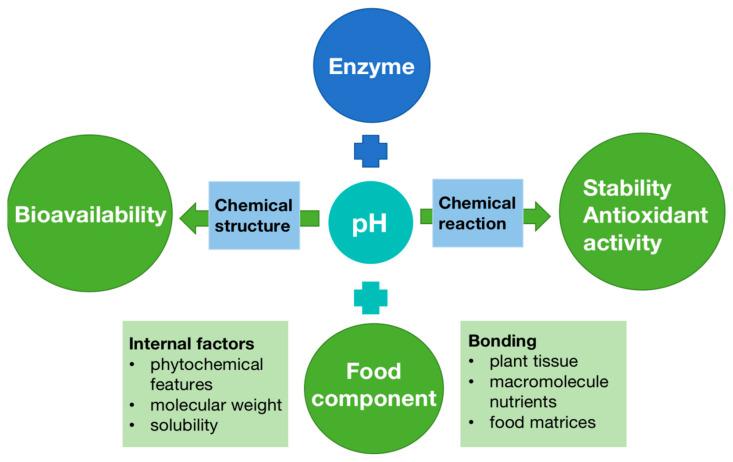 https://cdn.ncbi.nlm.nih.gov/pmc/blobs/a56e/9219965/085fd98f8591/antioxidants-11-01158-g004.jpg