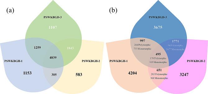 https://cdn.ncbi.nlm.nih.gov/pmc/blobs/a56f/11251232/5abf02565218/12870_2024_4959_Fig4_HTML.jpg