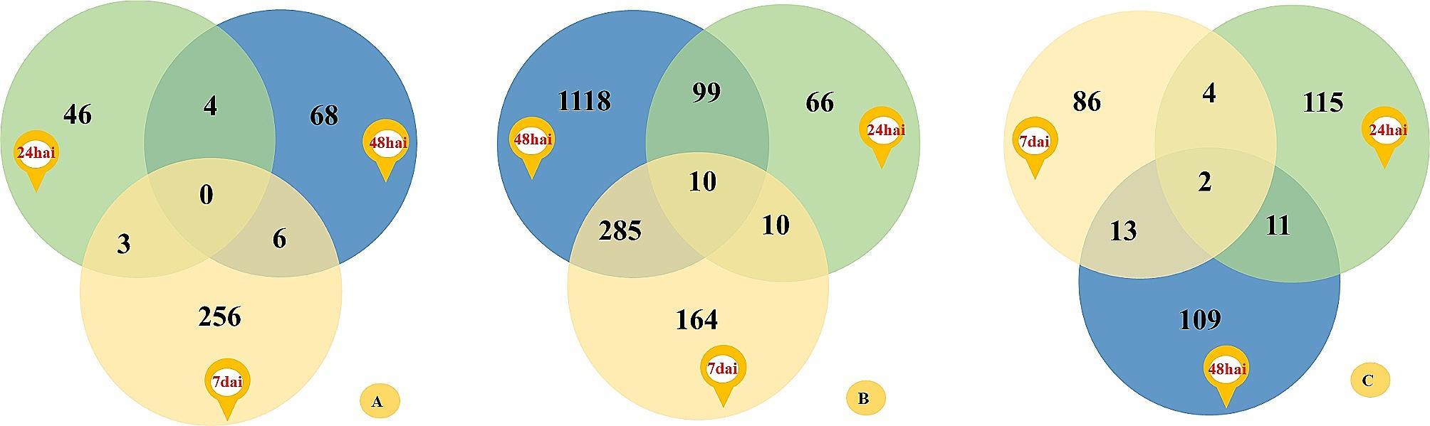 https://cdn.ncbi.nlm.nih.gov/pmc/blobs/a56f/11251232/b1b1d24948ae/12870_2024_4959_Fig5_HTML.jpg