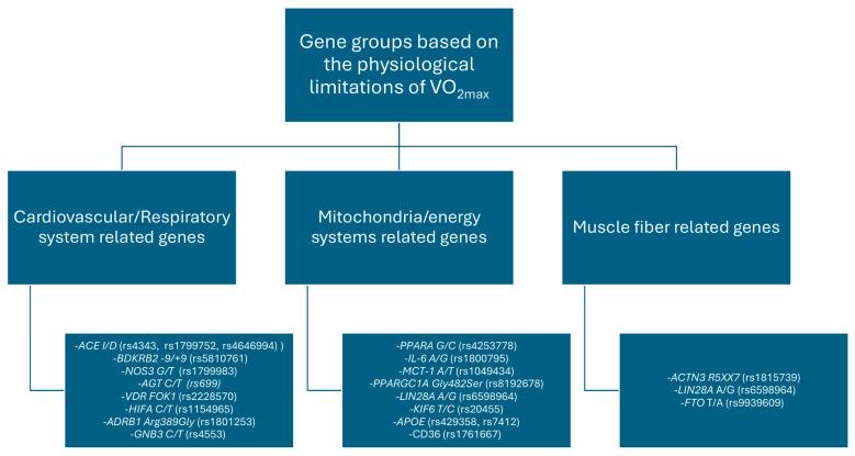 https://cdn.ncbi.nlm.nih.gov/pmc/blobs/a56f/11641144/d9bc9bec529f/ijms-25-13041-g001.jpg