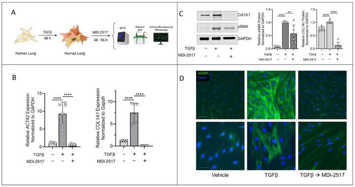 https://cdn.ncbi.nlm.nih.gov/pmc/blobs/a56f/12393591/52f04e22ba8a/nihpp-rs6951289v1-f0009.jpg