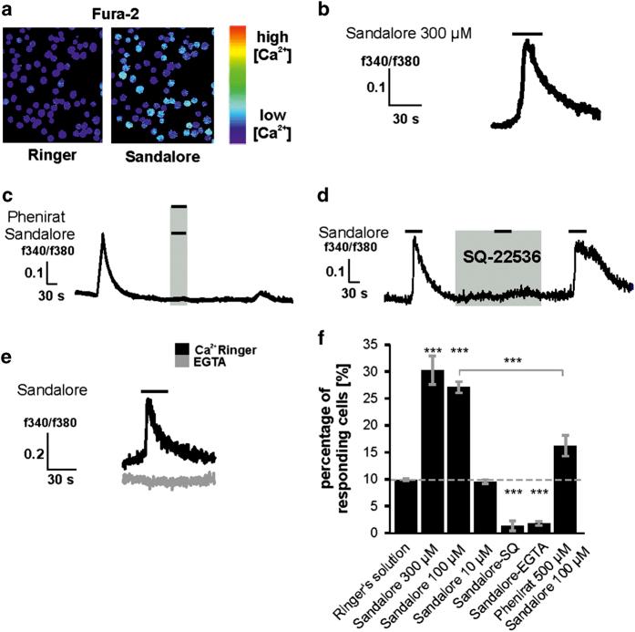 https://cdn.ncbi.nlm.nih.gov/pmc/blobs/a571/4979481/526dce59abff/cddiscovery201570-f3.jpg
