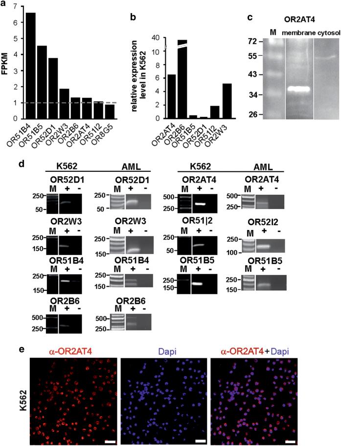 https://cdn.ncbi.nlm.nih.gov/pmc/blobs/a571/4979481/6a2e797c2a24/cddiscovery201570-f1.jpg