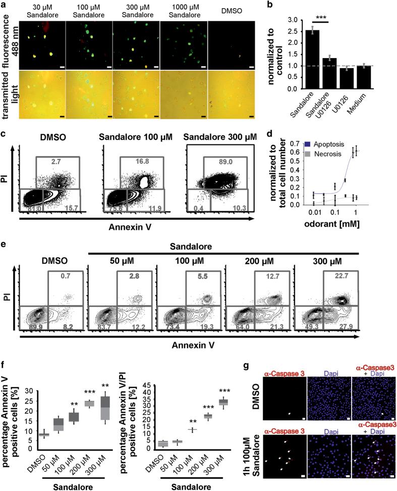 https://cdn.ncbi.nlm.nih.gov/pmc/blobs/a571/4979481/6ff4cb4bcb0f/cddiscovery201570-f6.jpg