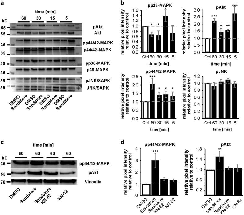 https://cdn.ncbi.nlm.nih.gov/pmc/blobs/a571/4979481/942fd1a7bf41/cddiscovery201570-f4.jpg