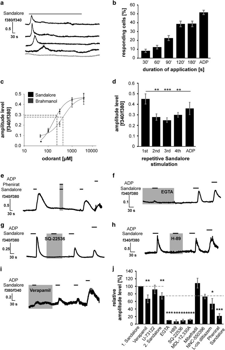 https://cdn.ncbi.nlm.nih.gov/pmc/blobs/a571/4979481/9cb0008c1643/cddiscovery201570-f2.jpg