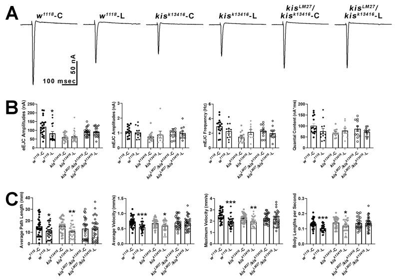 https://cdn.ncbi.nlm.nih.gov/pmc/blobs/a573/11313043/3b1fc9c09784/ijms-25-08429-g006.jpg