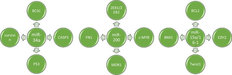 https://cdn.ncbi.nlm.nih.gov/pmc/blobs/a577/11959806/63d7798eff96/12935_2025_3679_Fig5_HTML.jpg