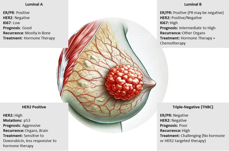 https://cdn.ncbi.nlm.nih.gov/pmc/blobs/a577/11959806/69a60c78f00d/12935_2025_3679_Fig2_HTML.jpg