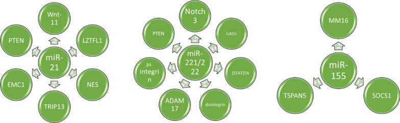 https://cdn.ncbi.nlm.nih.gov/pmc/blobs/a577/11959806/fa833cb773cb/12935_2025_3679_Fig6_HTML.jpg