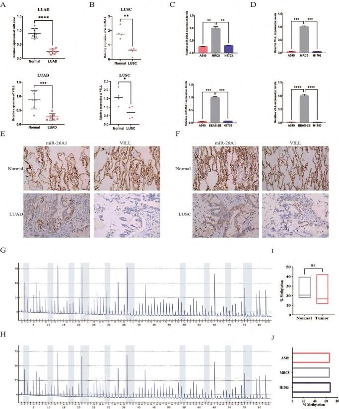 https://cdn.ncbi.nlm.nih.gov/pmc/blobs/a577/9838096/10af4fc56a2c/ddac185f3.jpg
