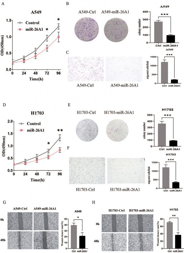 https://cdn.ncbi.nlm.nih.gov/pmc/blobs/a577/9838096/9406c1fc6b56/ddac185f5.jpg