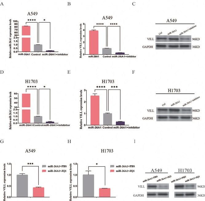 https://cdn.ncbi.nlm.nih.gov/pmc/blobs/a577/9838096/b7c5be1def4c/ddac185f4.jpg