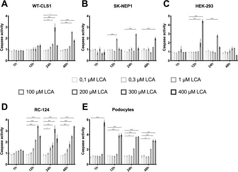 https://cdn.ncbi.nlm.nih.gov/pmc/blobs/a578/7683553/600655e01c09/41598_2020_77436_Fig5_HTML.jpg