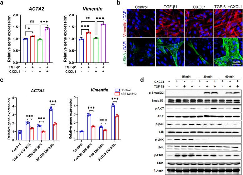 https://cdn.ncbi.nlm.nih.gov/pmc/blobs/a579/12149066/1687b6f5cac5/43556_2025_281_Fig3_HTML.jpg