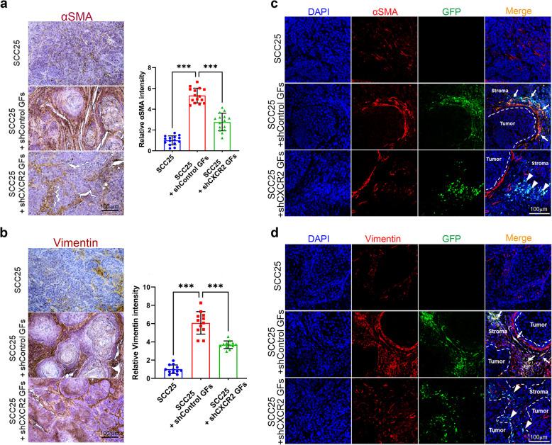 https://cdn.ncbi.nlm.nih.gov/pmc/blobs/a579/12149066/4bafe15106e3/43556_2025_281_Fig6_HTML.jpg