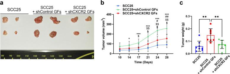 https://cdn.ncbi.nlm.nih.gov/pmc/blobs/a579/12149066/50f81477a682/43556_2025_281_Fig5_HTML.jpg