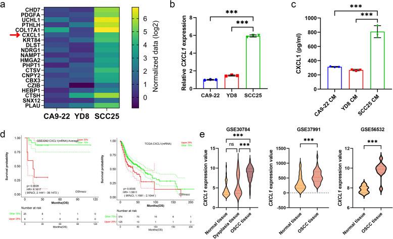 https://cdn.ncbi.nlm.nih.gov/pmc/blobs/a579/12149066/ea834699afd3/43556_2025_281_Fig2_HTML.jpg