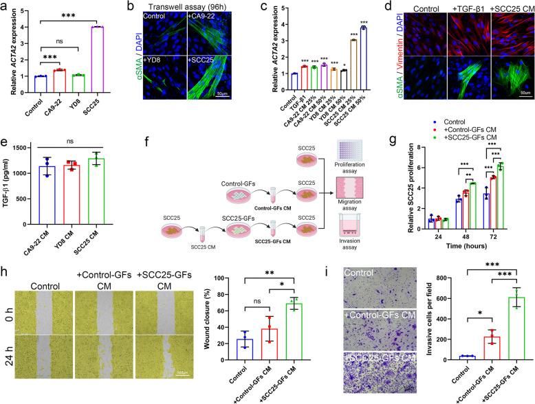 https://cdn.ncbi.nlm.nih.gov/pmc/blobs/a579/12149066/f970b37ab2a9/43556_2025_281_Fig1_HTML.jpg