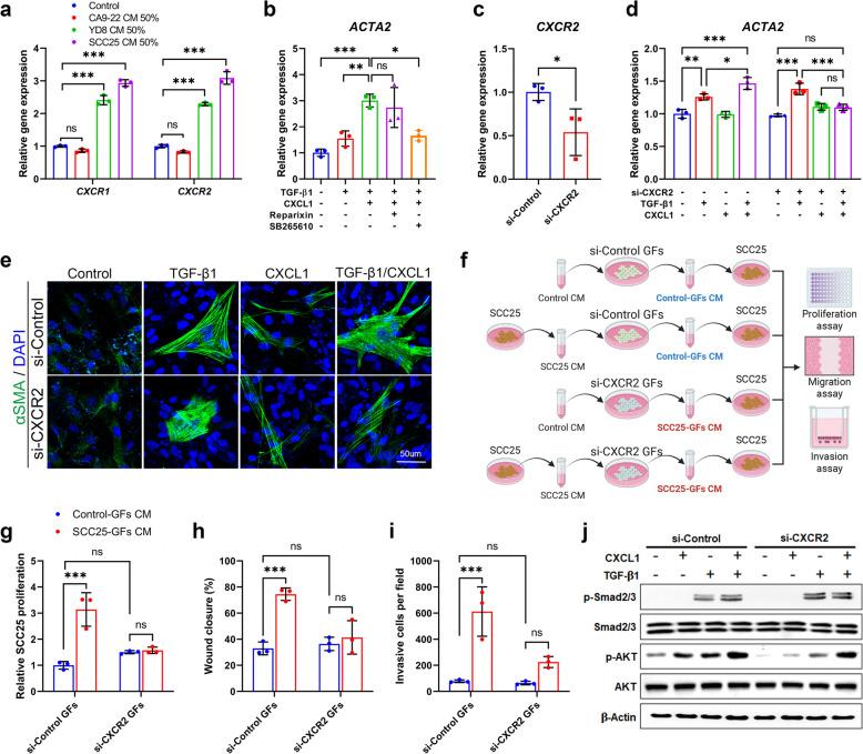 https://cdn.ncbi.nlm.nih.gov/pmc/blobs/a579/12149066/fa7808ffac8b/43556_2025_281_Fig4_HTML.jpg