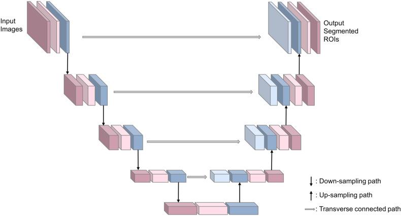 https://cdn.ncbi.nlm.nih.gov/pmc/blobs/a57b/10157025/20505be0244a/fped-11-1144952-g003.jpg