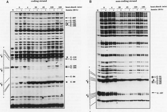 https://cdn.ncbi.nlm.nih.gov/pmc/blobs/a57b/358569/67ca6288c2a8/molcellb00003-0577-a.jpg