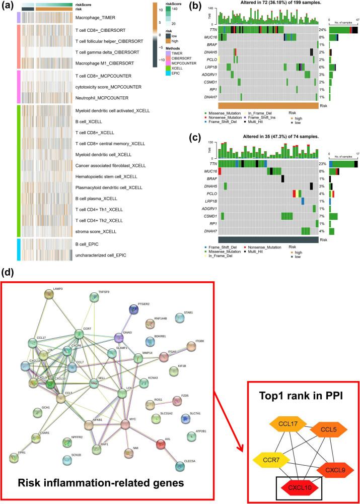 https://cdn.ncbi.nlm.nih.gov/pmc/blobs/a57e/10238811/fa9f74b02769/j_med-2023-0734-fig010.jpg