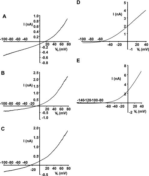 https://cdn.ncbi.nlm.nih.gov/pmc/blobs/a57f/3091210/549c78fc55ea/zbc0241161640004.jpg