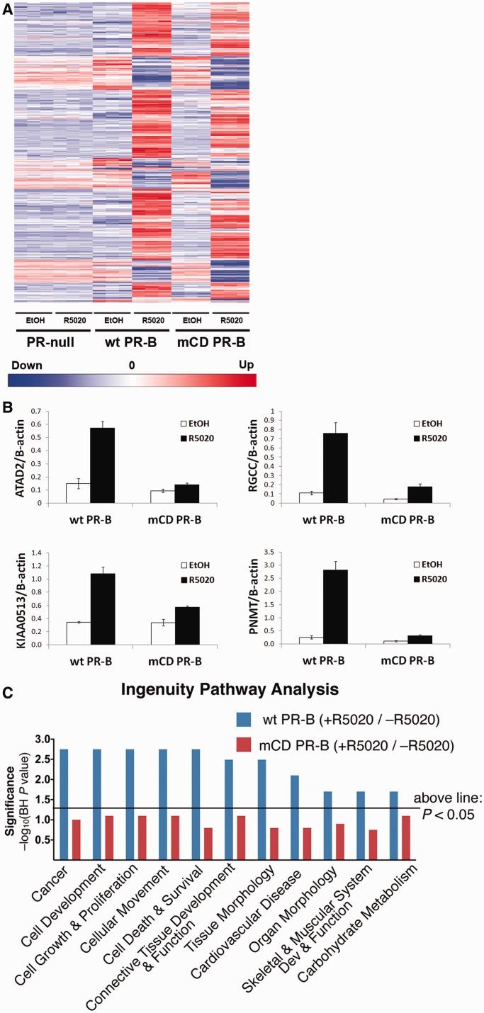 https://cdn.ncbi.nlm.nih.gov/pmc/blobs/a580/3799453/f01f4be31c88/gkt706f2p.jpg
