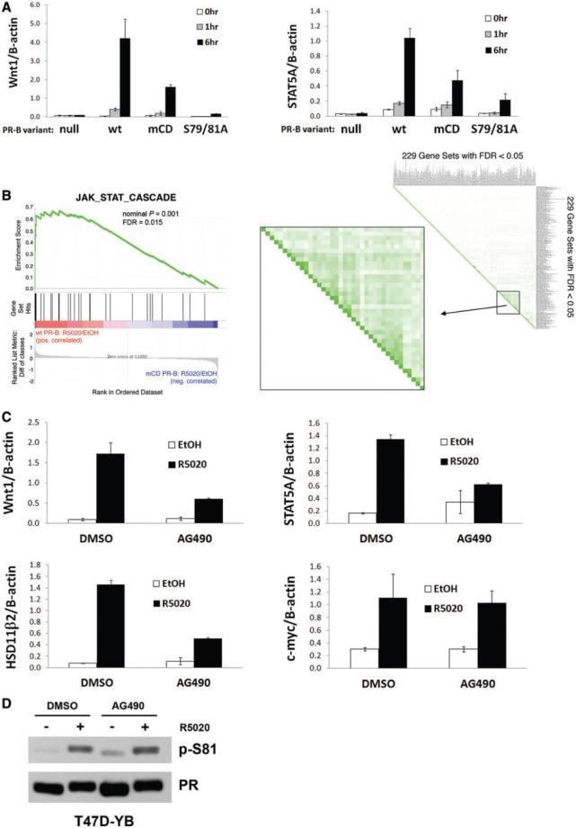 https://cdn.ncbi.nlm.nih.gov/pmc/blobs/a580/3799453/fcef6402a5f2/gkt706f6p.jpg