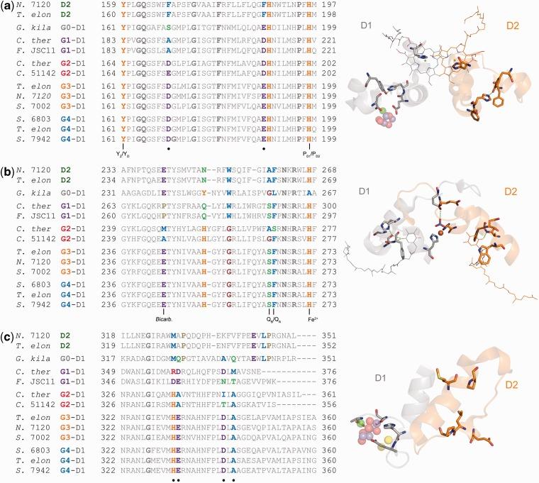 https://cdn.ncbi.nlm.nih.gov/pmc/blobs/a582/4408414/b7df31699d5b/msv024f3p.jpg