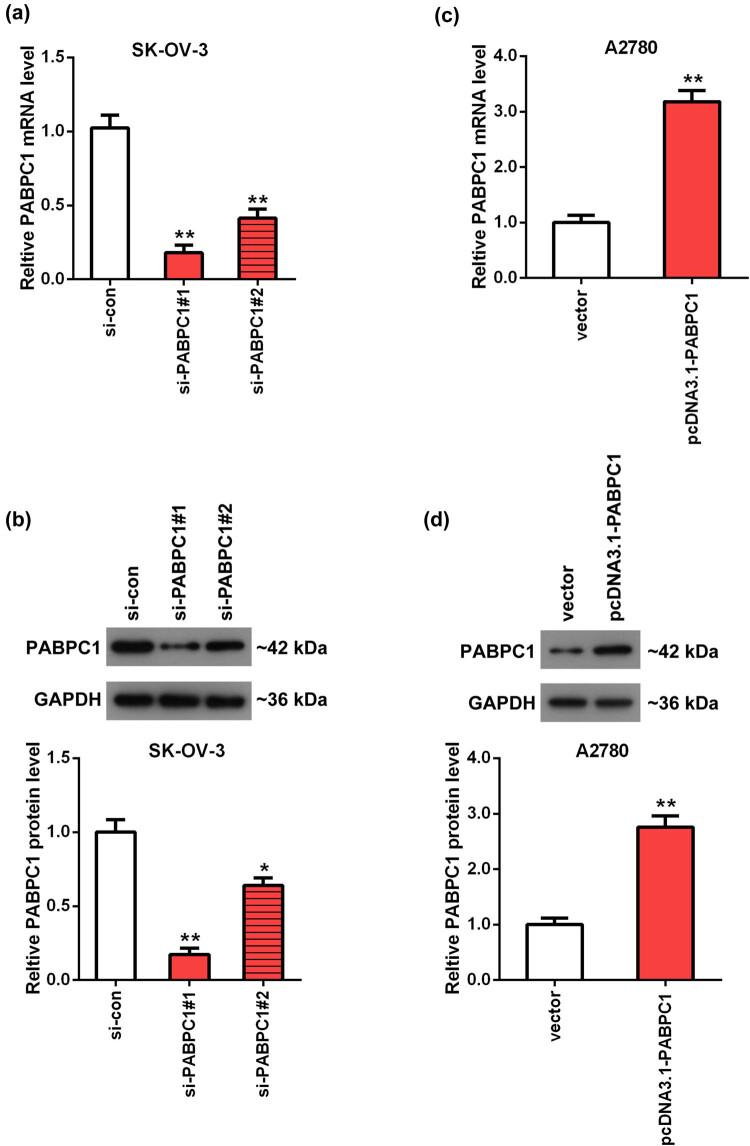 https://cdn.ncbi.nlm.nih.gov/pmc/blobs/a582/8122461/4331ce898405/j_med-2021-0278-fig002.jpg