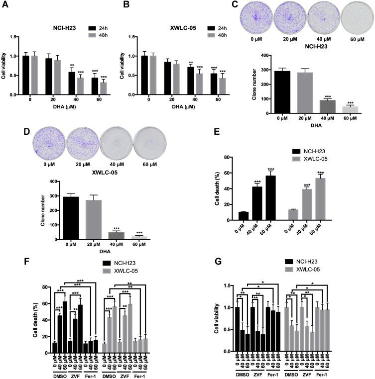 https://cdn.ncbi.nlm.nih.gov/pmc/blobs/a583/7602909/b7c3421d5174/OTT-13-10829-g0001.jpg