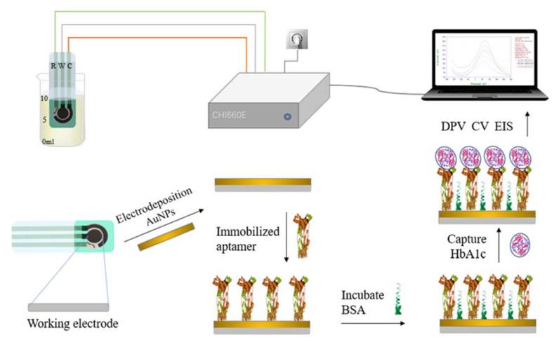 https://cdn.ncbi.nlm.nih.gov/pmc/blobs/a583/9599171/8b24e1410310/biosensors-12-00902-g002.jpg