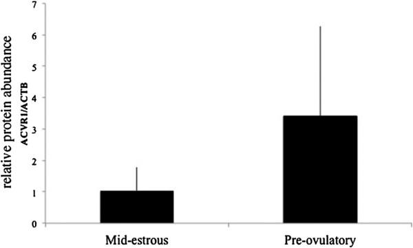 https://cdn.ncbi.nlm.nih.gov/pmc/blobs/a584/4045866/c00391d125ac/1477-7827-12-44-2.jpg