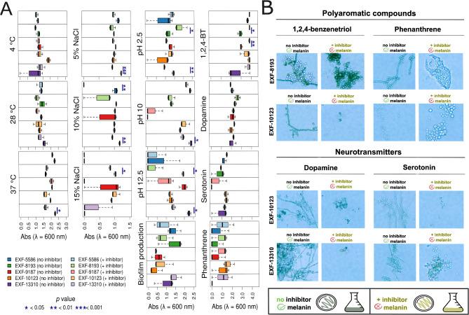 https://cdn.ncbi.nlm.nih.gov/pmc/blobs/a587/11846982/22c3c5a5029e/41598_2025_88595_Fig7_HTML.jpg