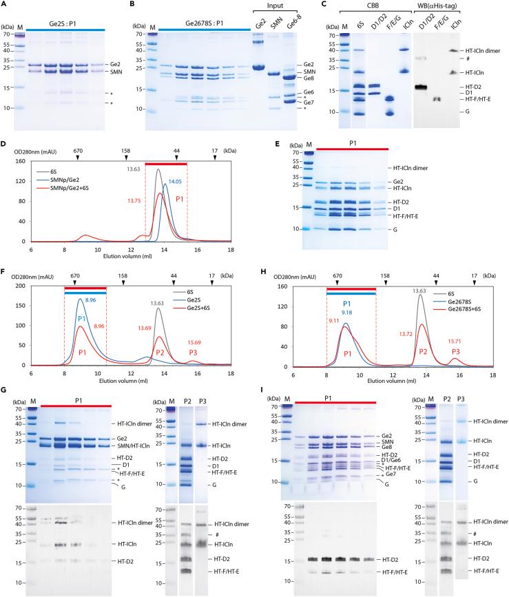 https://cdn.ncbi.nlm.nih.gov/pmc/blobs/a588/10470402/fb99db4bff9e/gr6.jpg