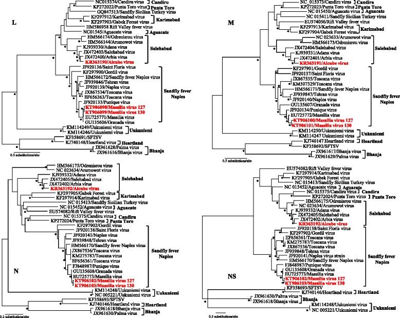 https://cdn.ncbi.nlm.nih.gov/pmc/blobs/a58b/4619550/612eaf7dbf5b/12985_2015_407_Fig2_HTML.jpg