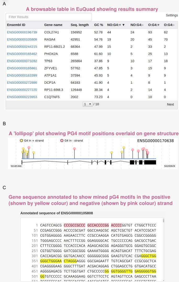 https://cdn.ncbi.nlm.nih.gov/pmc/blobs/a58d/4987949/a32f2219bc4e/gkw425fig3.jpg