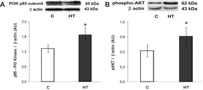 https://cdn.ncbi.nlm.nih.gov/pmc/blobs/a58d/9019672/1f00a9008154/RJME-62-3-713-fig3.jpg