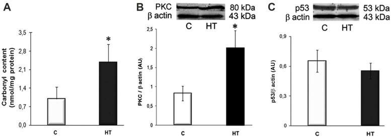 https://cdn.ncbi.nlm.nih.gov/pmc/blobs/a58d/9019672/52d9bf358b68/RJME-62-3-713-fig4.jpg