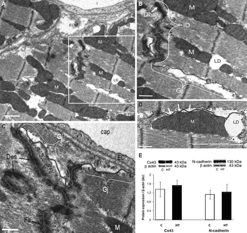 https://cdn.ncbi.nlm.nih.gov/pmc/blobs/a58d/9019672/56ad6e5efae0/RJME-62-3-713-fig2.jpg
