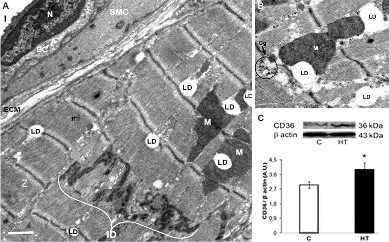 https://cdn.ncbi.nlm.nih.gov/pmc/blobs/a58d/9019672/81b495575f53/RJME-62-3-713-fig1.jpg