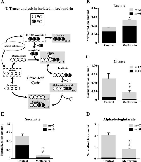 https://cdn.ncbi.nlm.nih.gov/pmc/blobs/a58e/4147388/484580913a2e/2049-3002-2-12-6.jpg
