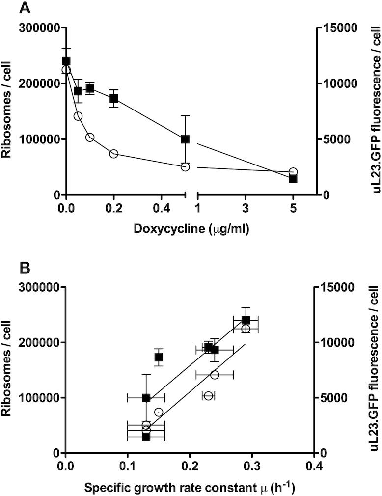 https://cdn.ncbi.nlm.nih.gov/pmc/blobs/a58f/7102972/5a676bec2ace/gkaa055fig6.jpg