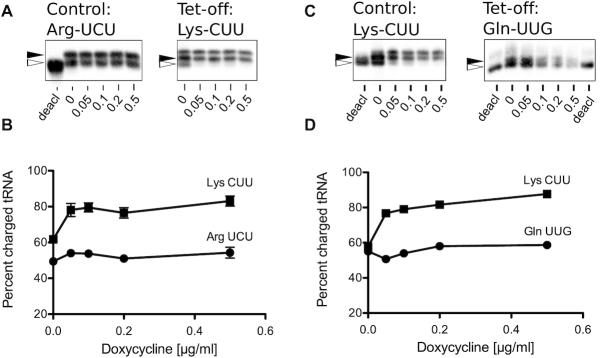 https://cdn.ncbi.nlm.nih.gov/pmc/blobs/a58f/7102972/ba77eb06fd28/gkaa055fig7.jpg