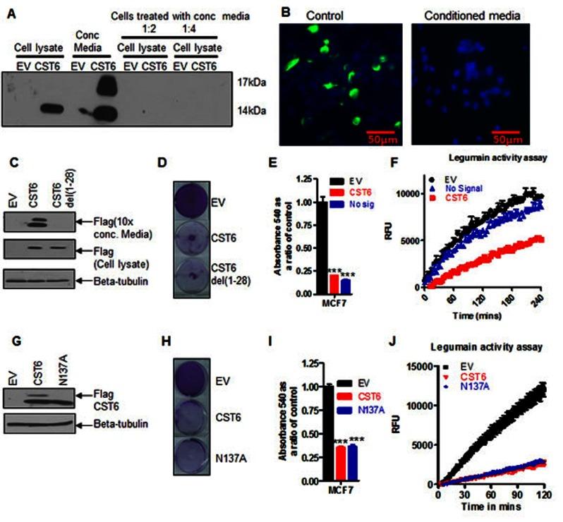 https://cdn.ncbi.nlm.nih.gov/pmc/blobs/a591/4057604/f6a6d8dd847b/oncotarget-05-1609-g006.jpg