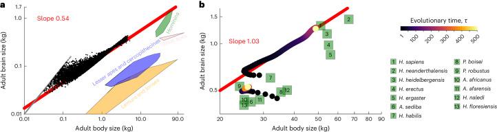 https://cdn.ncbi.nlm.nih.gov/pmc/blobs/a592/11272587/2e51f14c2218/41562_2024_1887_Fig2_HTML.jpg