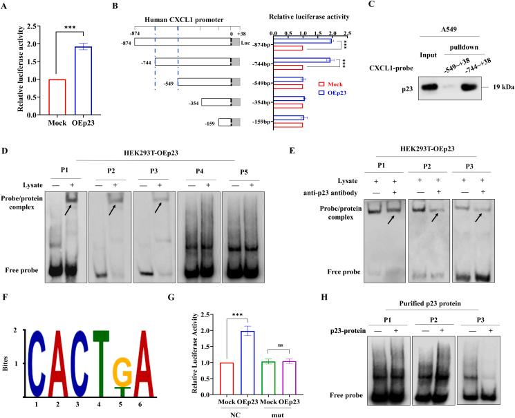 https://cdn.ncbi.nlm.nih.gov/pmc/blobs/a596/12254758/9b04d5c98410/gr4.jpg