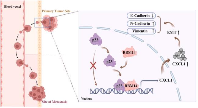 https://cdn.ncbi.nlm.nih.gov/pmc/blobs/a596/12254758/a89e1f97039d/ga1.jpg